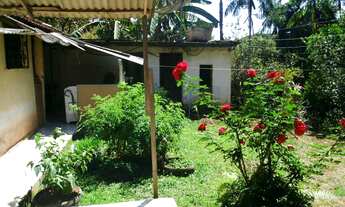 Imagem 2: Sítio beira do asfalto