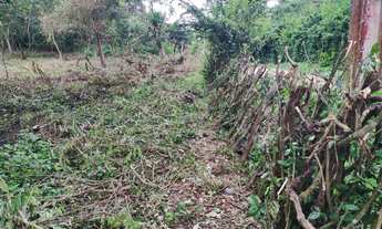 Imagem 2: MULUNGU-terrenos a partir de 1000m2 próx ao fórum