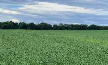 Imagem 7: Vende-se um espetáculo de fazenda de 1.860 Hectares