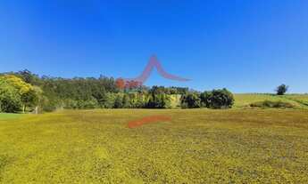 Imagem 4: VIAMãO - Sítio - Espigão