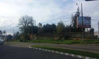 Imagem 6: TERRENO COMERCIAL em Pinhais - PR, emiliano perneta