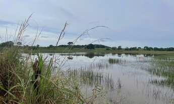 Imagem 2: Vende-se uma bela fazenda de 407 hectares