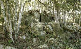 Imagem 4: GAROPABA - Terreno Padrão - Praia da Ferrugem