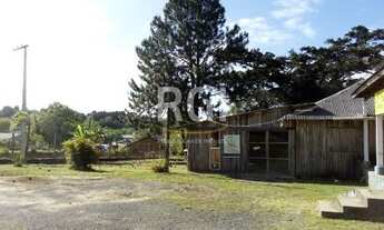 Imagem 6: Porto Alegre - Terreno Padrão - Lageado