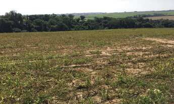 Imagem 3: Porto Feliz-Sp, Sitio 5 Alqueires