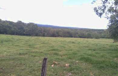 Imagem 5: Fazenda - Mairipotaba (GO