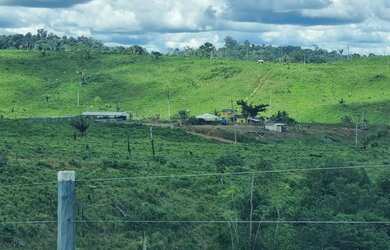 Imagem 2: Fazenda para venda tem 260 alqueires para pecuária Centro - Pacajá - PA