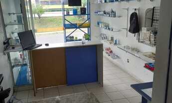 Imagem: IMÓVEL RESIDENCIAL E COMERCIAL NO MOTORAMA