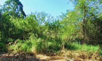 Imagem 4: Sítio de meia hectare a 200 metros da RS020