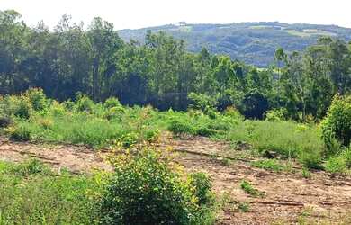 Imagem 3: ÚLTIMO SÍTIO COM ESCRITURA-PARCELO DIRETO