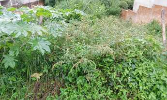 Imagem 2: Lote Bairro Jaqueline