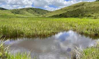 Imagem 2: Fazenda com 495 Hectares em Pernambuco