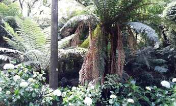Imagem 7: Terreno no Alpes Verdes em Canela!