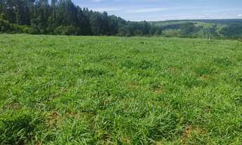 Imagem: Chácara 130.000,00