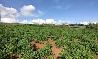 Imagem 2: Vende-se excelente Terreno no Bairro Efapi!