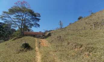 Imagem 6: SÍTIO EM IPIABAS - 4 ALQUEIRES MINEIROS FORMADO EM PASTO
