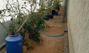 Imagem 7: Ótima casa á venda e locação, bairro sao pedro, prox. HB, FAMERP,3 quartos sendo 1 suíte