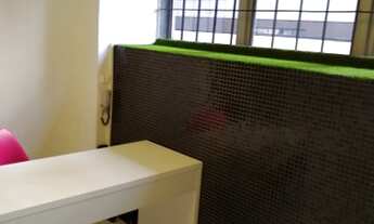 Imagem 3: Loja no térreo para aluguel com 70 metros quadrados em Cerqueira César - São Paulo - SP