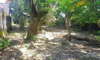 Imagem 7: Sítio com 3 dormitórios à venda, 2408 m² por R$ 430.000,00 - Vale Das Pedrinhas - Guapimir