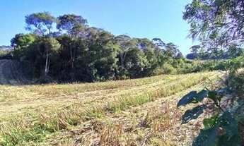 Imagem: Excelente Chácara 12.700m²- Alm. Tamandaré