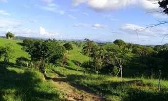 Imagem: Entroncamento Itape 40 hectares