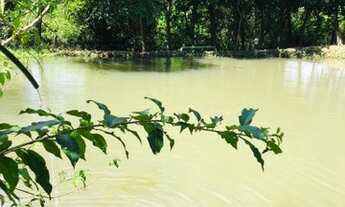 Imagem 5: CHÁCARA - CALDAZINHA GO