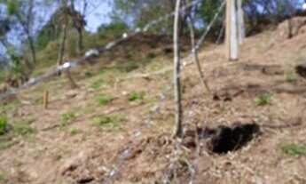 Imagem 3: Vende Ótimo Terreno 2.780 m² - Monterrey - Louveira