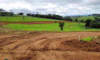 Imagem 2: TUIUTI - Terreno Padrão - Tuiuti
