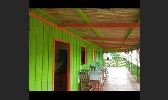 Imagem 2: Colônia linda toda formada