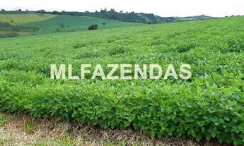 Imagem 4: Fazenda em Turvelândia MG