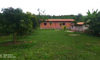 Imagem 5: Sitio com 1.5 hectares, casa sede, excelente localização, aceita propostas!
