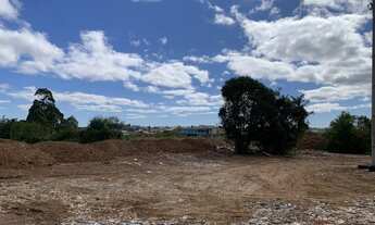 Imagem 5: Terrenos industriais 750 m²