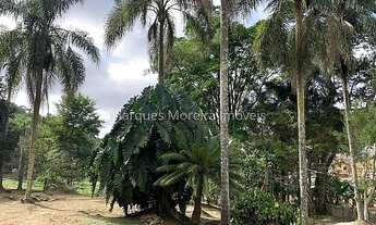 Imagem 4: Juiz de Fora - Sítio - São Pedro