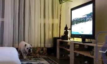 Imagem 4: Porto Alegre - Apartamento Padrão - Cavalhada