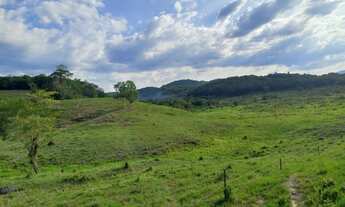 Imagem: Sítio 14 alqueires, Pastagem e com Ótima