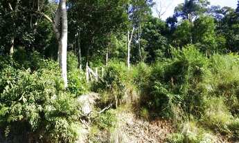 Imagem 3: Terreno no bairro Garcia em Blumenau