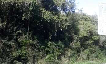 Imagem 7: Chácara de frente para o asfalto, localizada em Glorinha RS!!