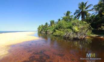 Imagem 5: Terreno em praia paradisíaca em Caraíva!