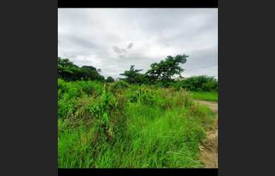 Imagem 4: Lote/Terreno para venda possui 500 metros quadrados em coqueiral - Araruama - Rio de Jane