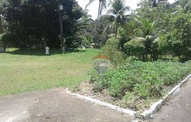 Imagem 4: Chácara com 4 dormitórios à venda, 50000 m² por R$ 1.100.000,00 - Santa Rita - Igarassu/PE