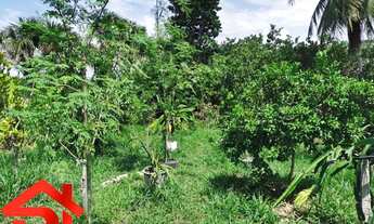 Imagem 12: SITIO RESIDENCIAL em SÃO JOSÉ DE RIBAMAR - MA, Panaquatira