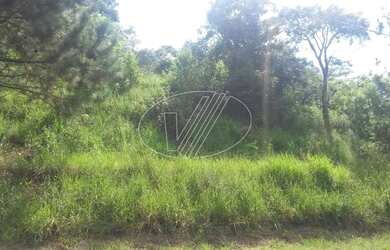 Imagem 2: Terreno - Joaquim Egídio - Campinas