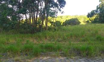 Imagem: Garopaba - Terreno Padrão - Macacu