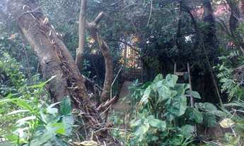 Imagem 4: Belo Horizonte - Loteamento/Condomínio - Salgado Filho