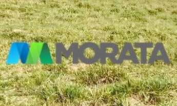 Imagem 5: CONCEIçãO DO PARá - Fazenda - Zona Rural