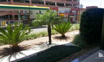 Imagem 4: Lindo APT 3 Dorm. com suíte e terraço 174 m²