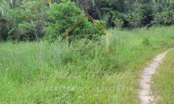 Imagem 3: Fazenda/Sítio/Chácara para venda com 60 metros quadrados em c - Santo Antônio do Leverger
