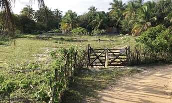 Imagem 2: Granja pertinho do mar na bela Praia de Caraúbas - Maxaranguape