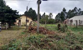 Imagem 1: Porto Alegre - Terreno Padrão - Hípica