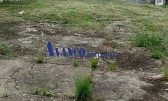 Imagem 7: Bairro do Castanho - Área de 40.000 m² para incorporação em rodovia